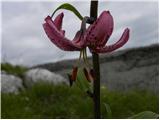 Spodnje Danje - Krekova koča na Ratitovcu